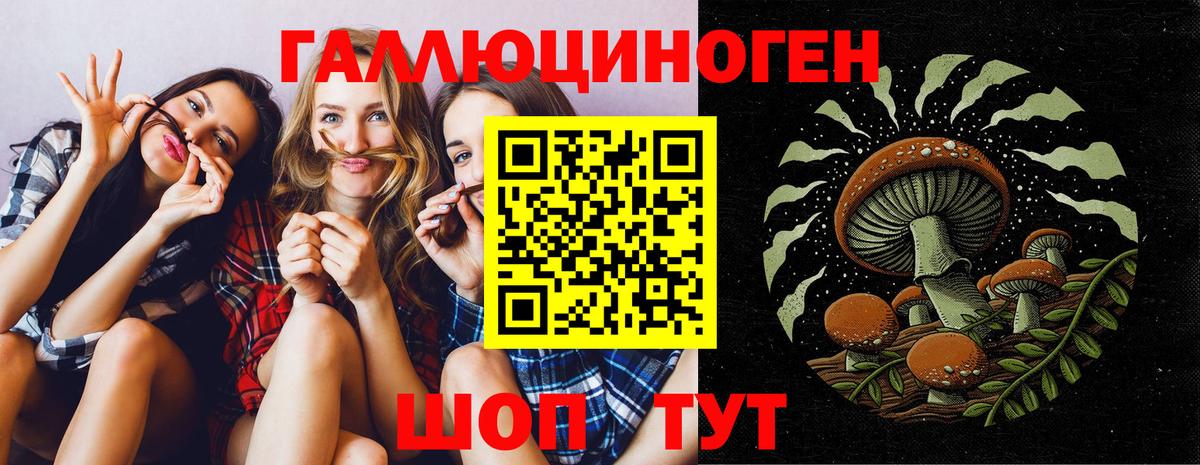 Майкоп  Галлюциногенные грибы GOLDEN TEACHER  Вход с VPN 